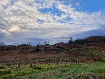 weather bbc carlisle|carlisle weather tonight.
